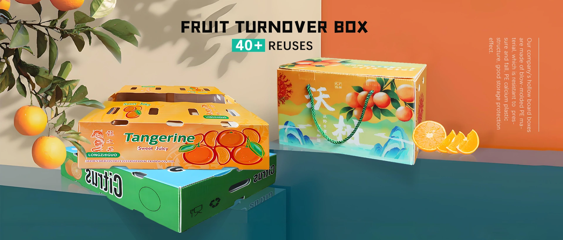Pemasok kotak turnover buah